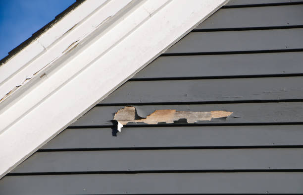 Best Insulated Siding Installation  in West Bishop, CA