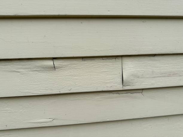 Best Aluminum Siding Installation  in West Bishop, CA